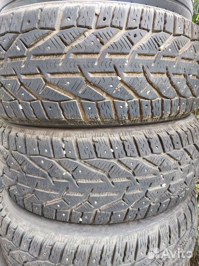 Tigar Winter 215/60 R17