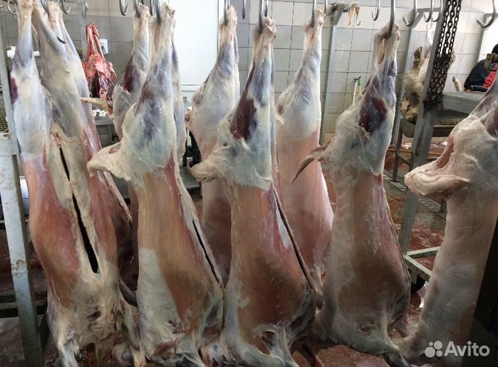 Мясо «Халяль» (говядина, баранина, конина, птица)