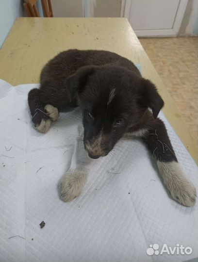 Мне очень нужен дом