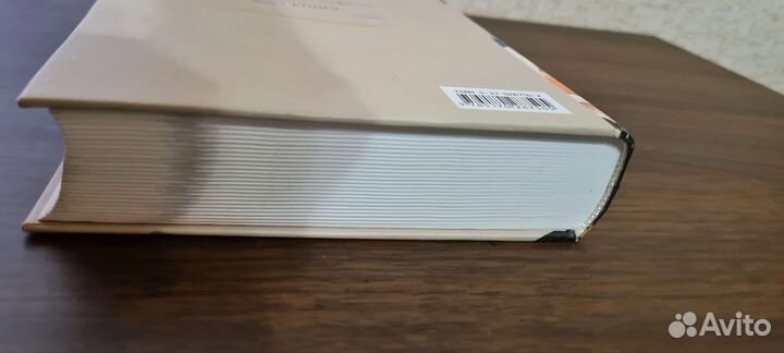 Борис Акунин.