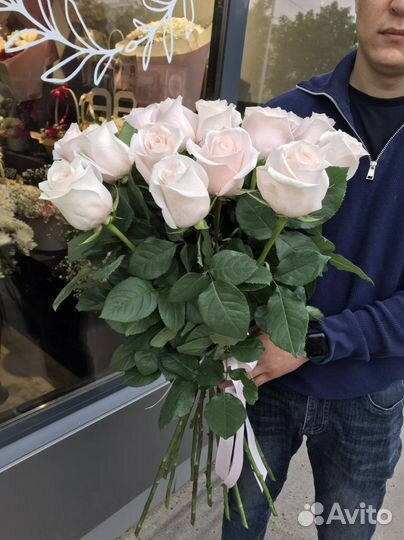 Розы эквадор 80см Доставка Цветы