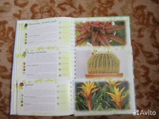 Книга о цветах