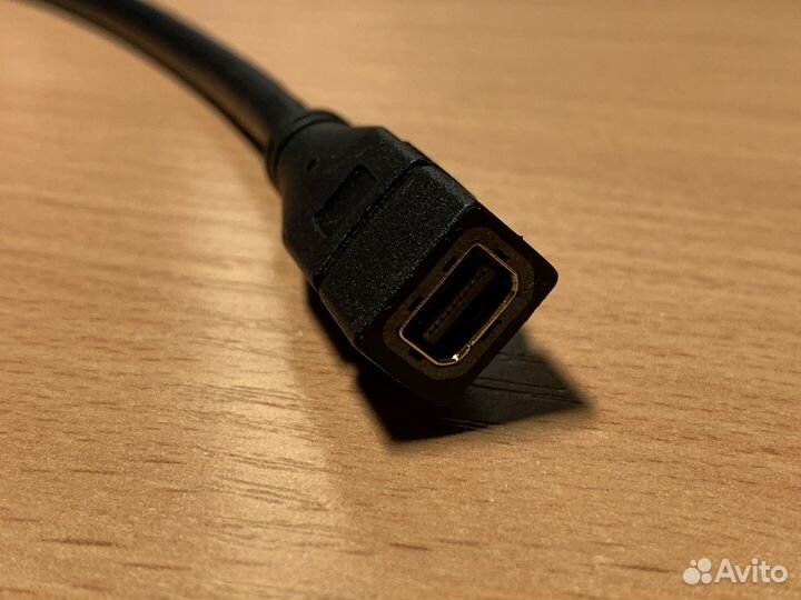 DisplayPort (male) to Mini DisplayPort (female)