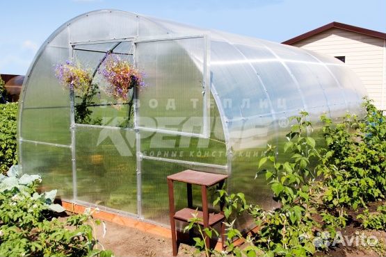 Теплица 