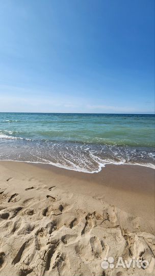 Экскурсии на Куршскую косу