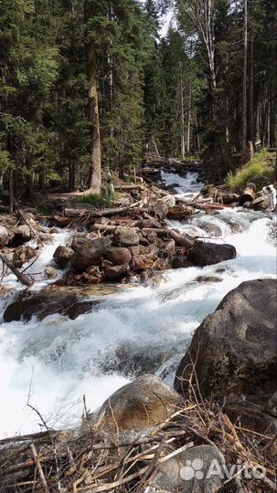 Индивидуальные поездки в горы