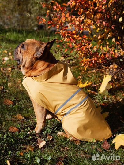 Плащ-дождевик для собак - Манго