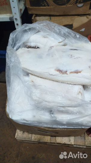 Сало 4+ солёний