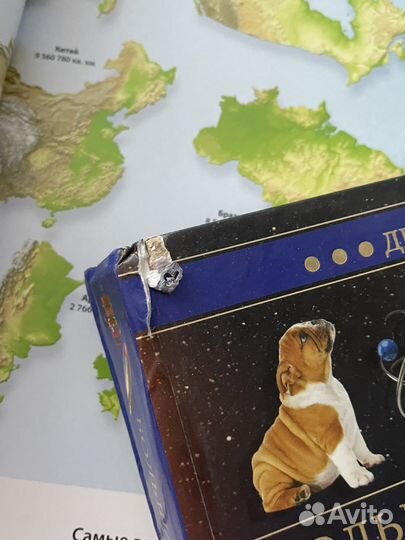 Энциклопедия школьника