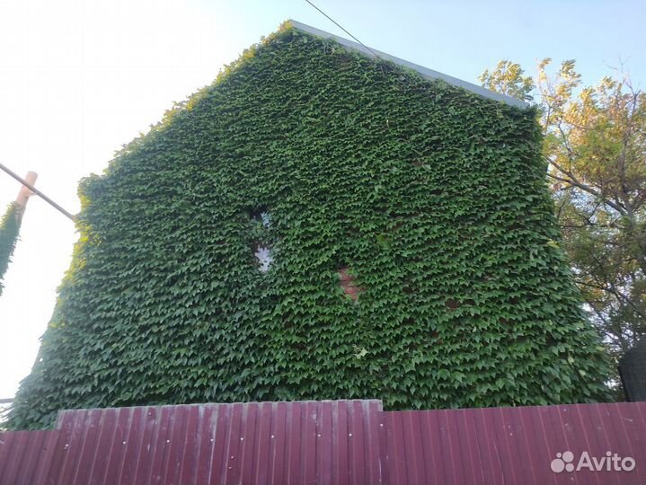 Оформление Земельных участков, Гаражей, Дач, Домов