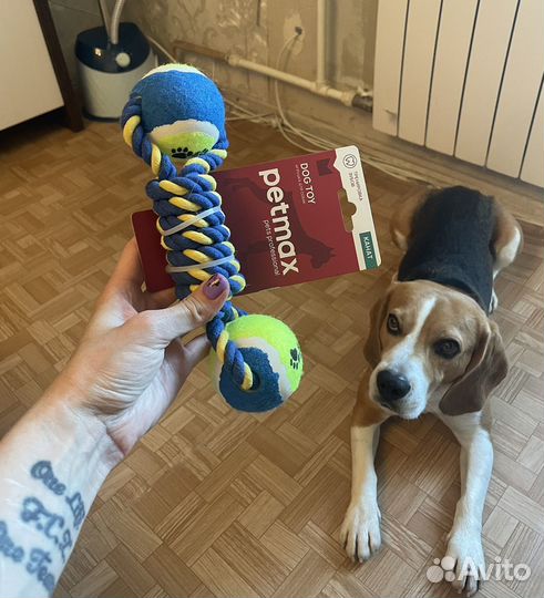 Игрушка для собак