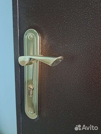 Дверь входная металлическая