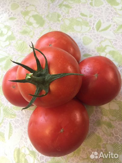 Продам помидоры домашние