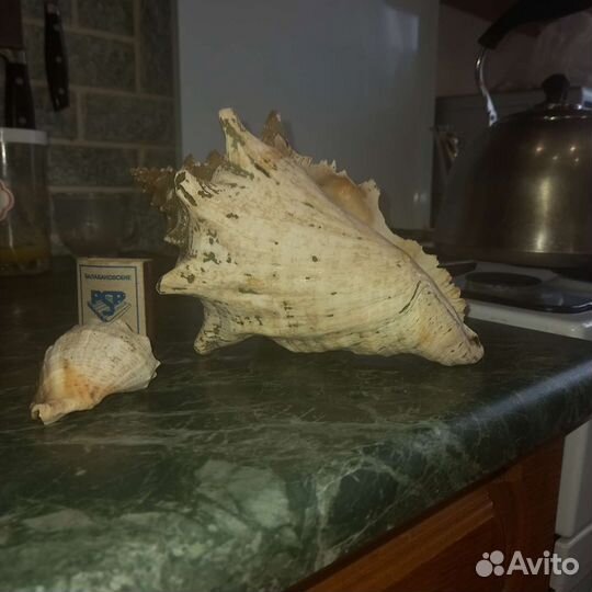 Раковина для аквариума