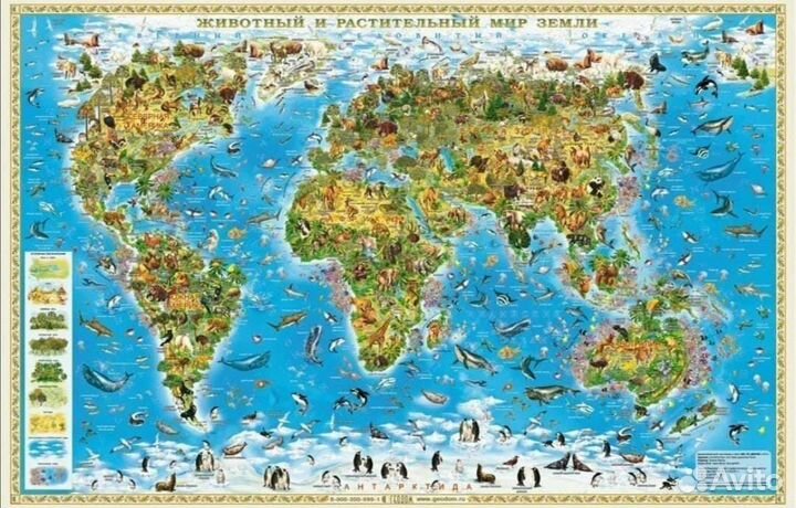 Большая настенная карта за 2 кг сахара