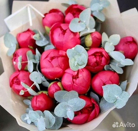 Пионы Цветы Доставка