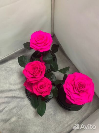 Роза в колбе оптом