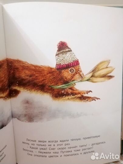 Где живет снеговик тьерри дедье