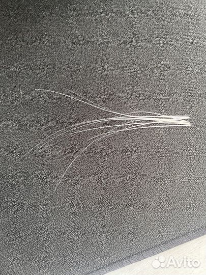 Кошачьи усы от Сибирской кошки