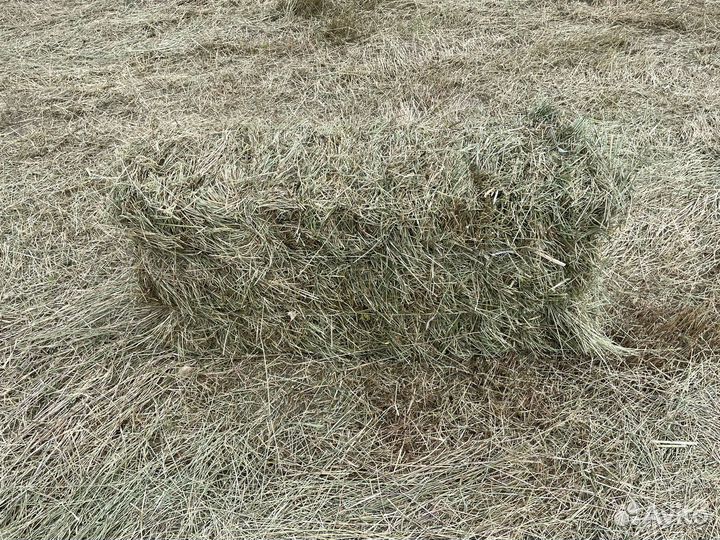 Сено разнотрав