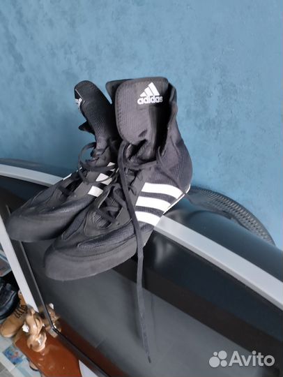 Боксерки adidas box hog 2
