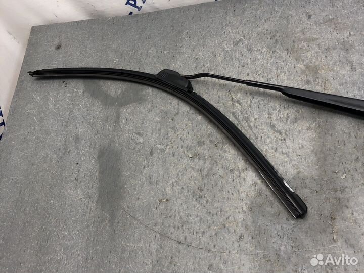 Лев поводок Fusion