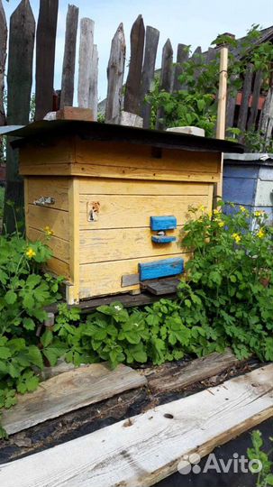 Ульи, лежаки