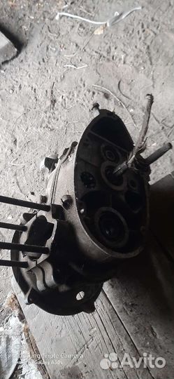 Картер на муравей