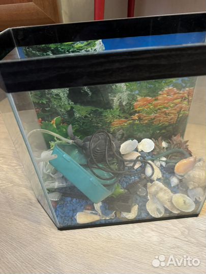 Аквариум