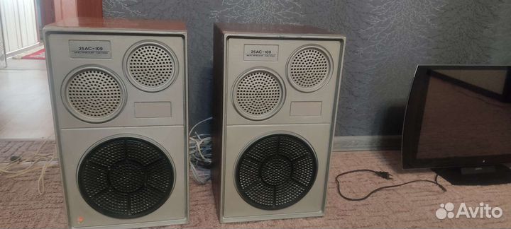 Акустическая система 25ас109