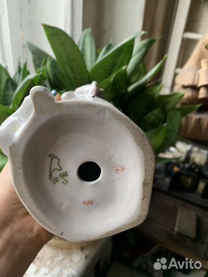 Дама с собакой