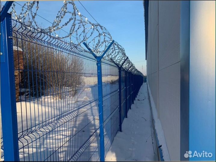 Колючая проволока Егоза, сбб, пбб