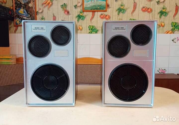 Колонки Вега 25ас-109