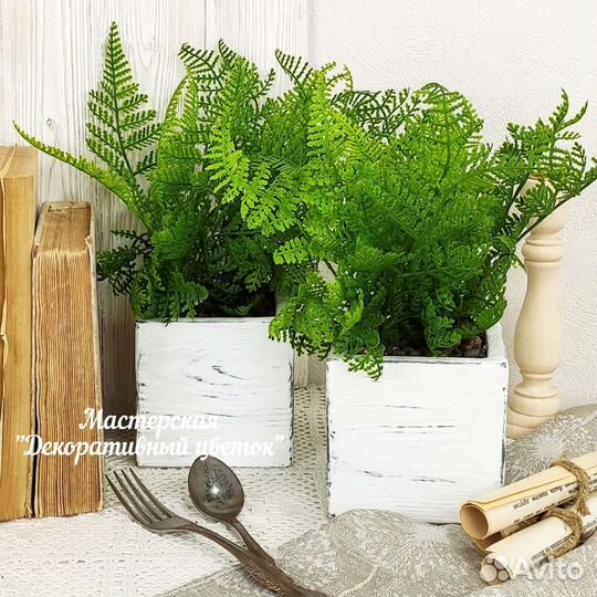 Ящики с декоративной зеленью