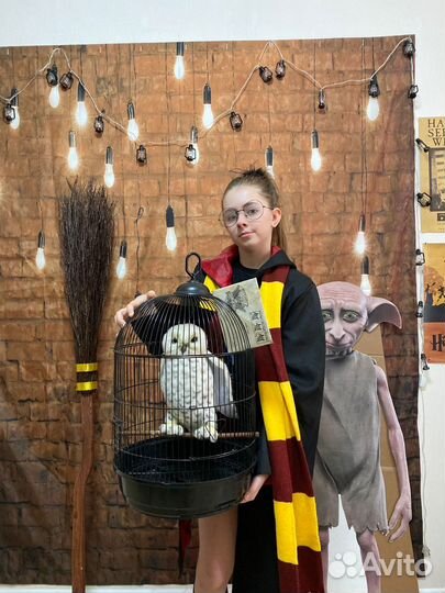 Аренда Реквизит для декора в стиле гарри поттер