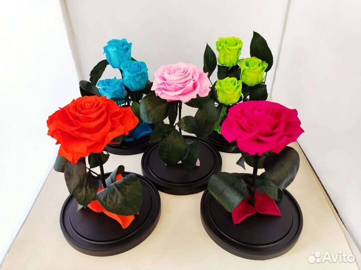 Вечная роза в колбе оптом и в розницу