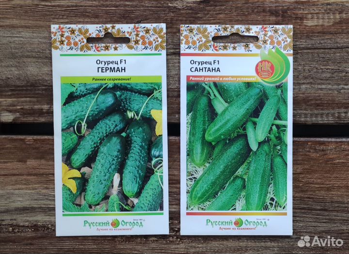 Семена огурцов