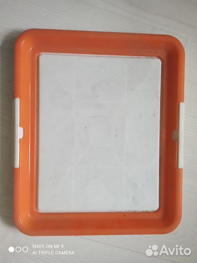 Приучения к Туалету для Собак