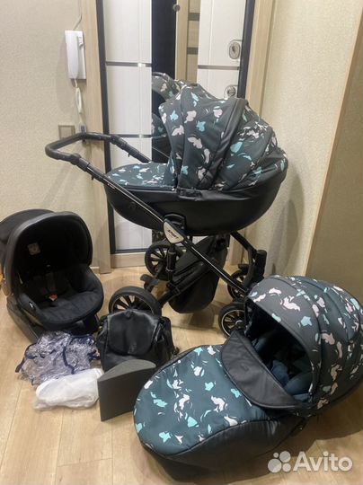 Коляска anex sport 3 в 1