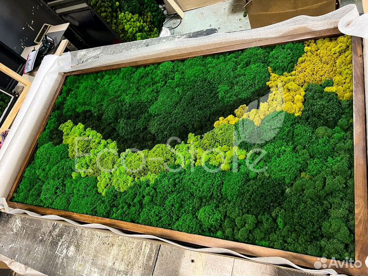 Панно из мха в подарок