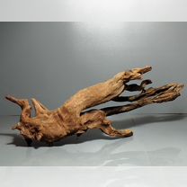 Мангровая коряга: 40*11*14 см. вк53, Зеленоград