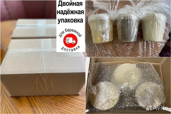 Бортевой мёд диких пчёл