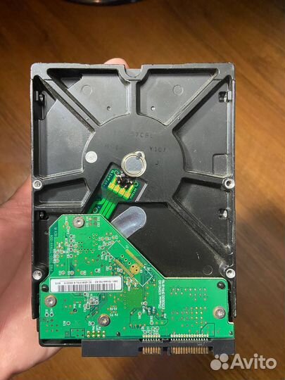 Жесткий диск Western Digital WD 500Гб