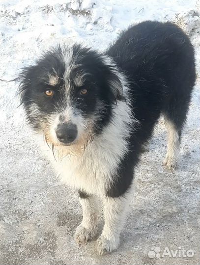 Обалденная красота