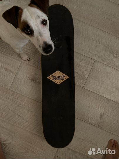 Скейтборд Termit