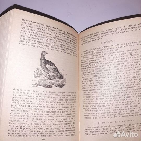 Про охоту. Аксаков Записки ружейного охотника