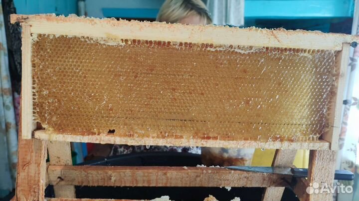 Мед центробежный разнотравье и забрус 2023