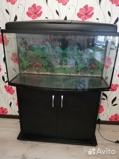 Аквариум 180л с тумбочкой