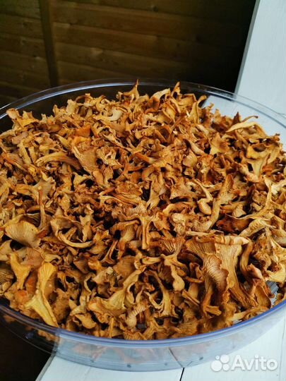 Грибы лисички свежие, сушеные белые и лисички