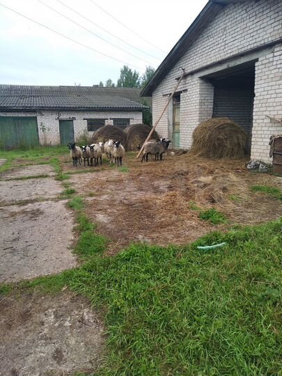 Участок 186 га (СНТ, ДНП)